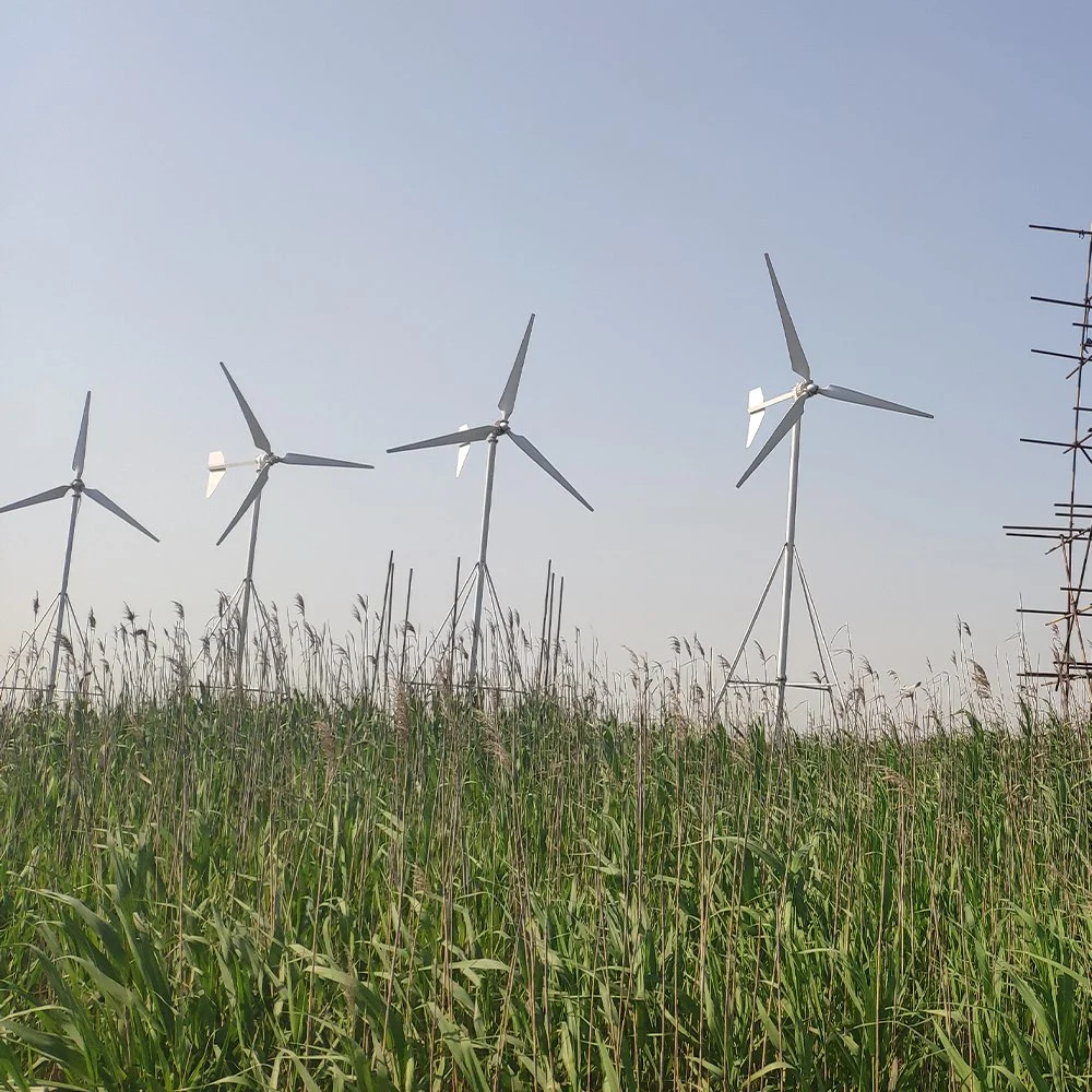 Avec certificat CE générateur de puissance éolienne verticale moulin à vent vent générateur de puissance système générateur de puissance 5 Kw