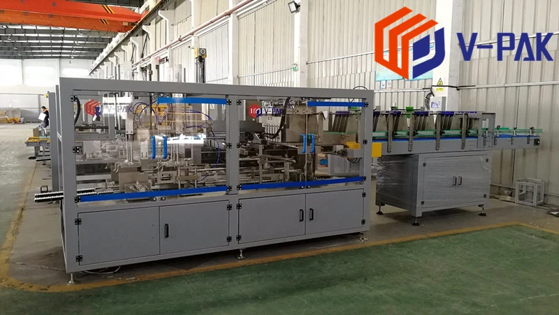 Automatic Case Packer / Carton Box Packing Machine with Factory Price