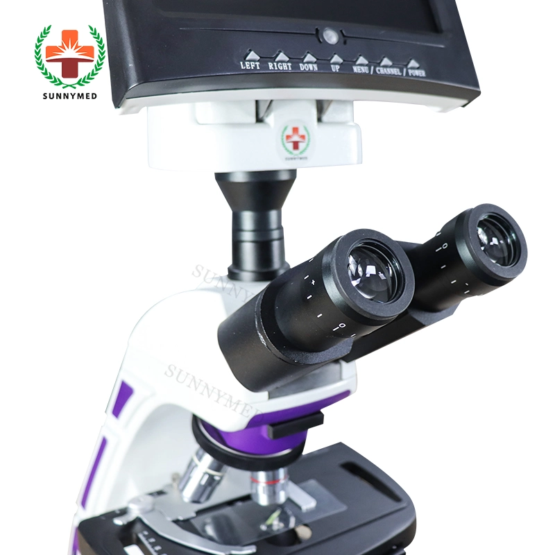 Sy-B129t Lab Hospital Digital LCD Display Screen Binocular Microscope for Sale