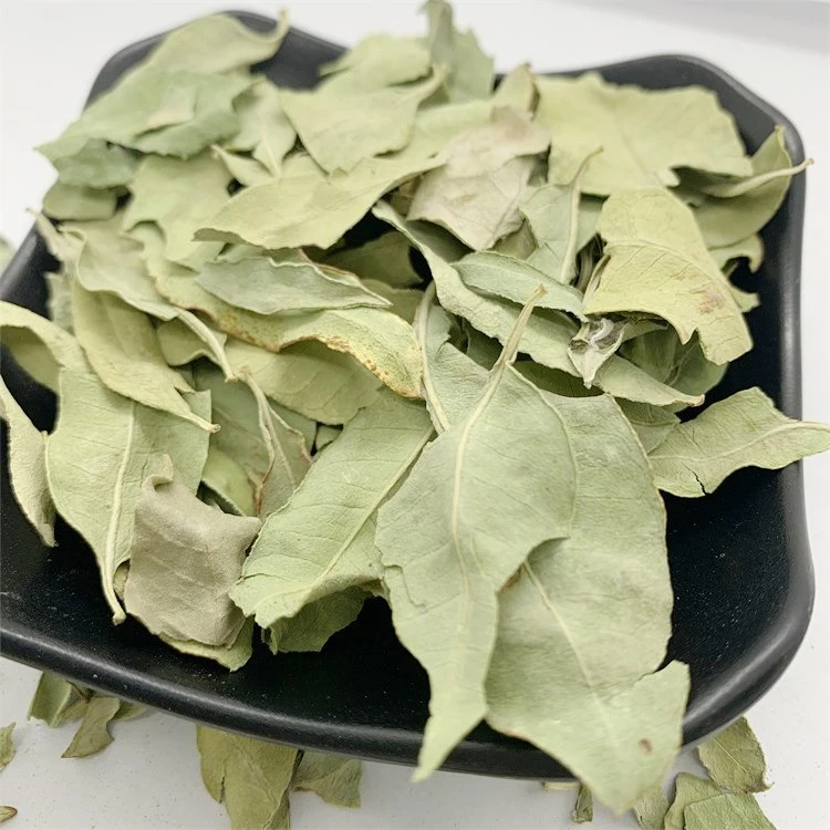 Luo Bu Ma Ye Chinese Natural Dried Bluish Dogbane Apocynum Venetum Leaves for Tea