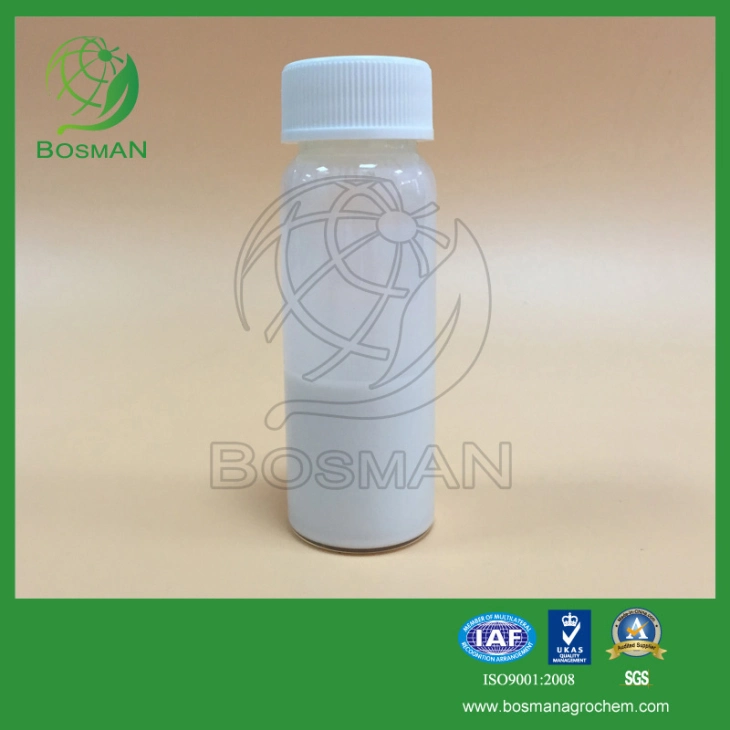 Widely Use Fungicide Carbendazim Supplier