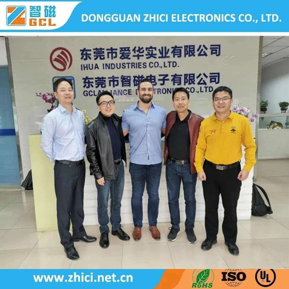 Chinese Manufacturer Efd20 Mini Transformador High Frequency Transformer for TV Sets