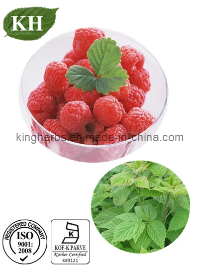 Raspberry Extract 5% Raspberry Ketone 20% 25% Anthocyanidins