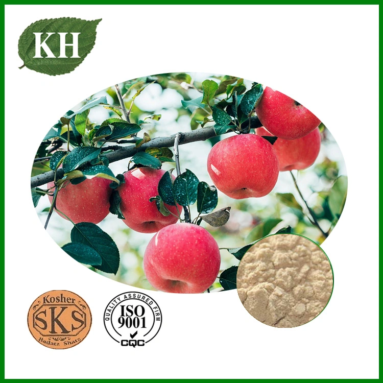 Natural Food Additives Apple Pectin