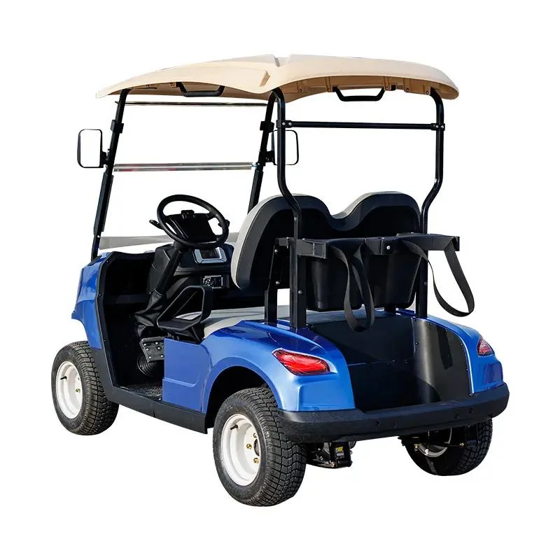 CE Approved 2 Passenger Electrical Scooter Sightseeing Car Electric Golf Cart Vehicle