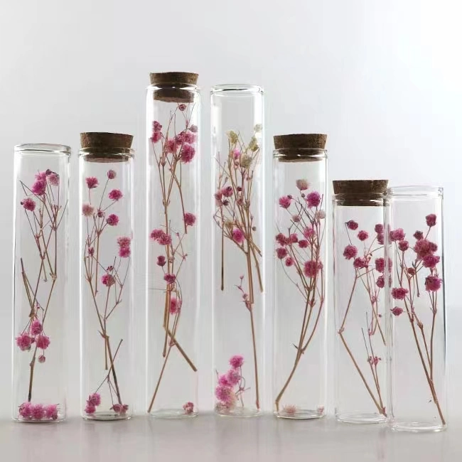 Dried Flower Sealed Teaching Experiment Glass Test Tube with Cork