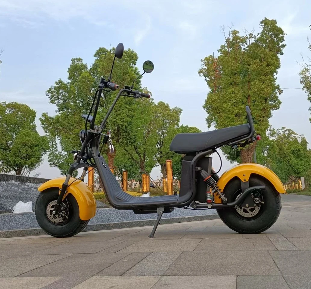 Popular 2 Wheel Fat Tire 2000W 60V CE Citycoco Electric Scooter