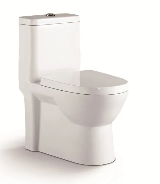 WC sanitaire moderne Tornado à double chasse d'eau, toilettes en céramique d'une seule pièce pour salle de bains.