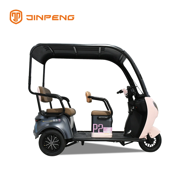 Factory Supply Long Range 3 Wheels Electric Mobility Scooter Tricycle