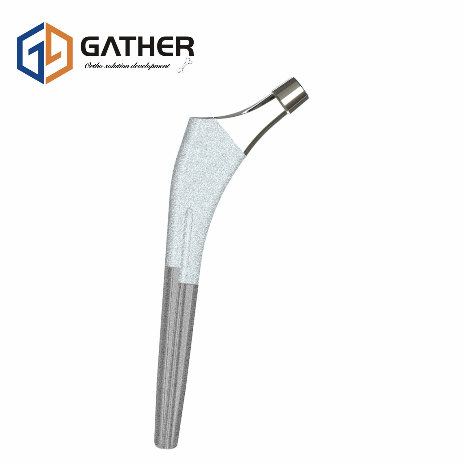 Orthopedic Artificial Hip Joint Surgical Instruments Ceramic Femoral Head Replacement Implant Factory Price