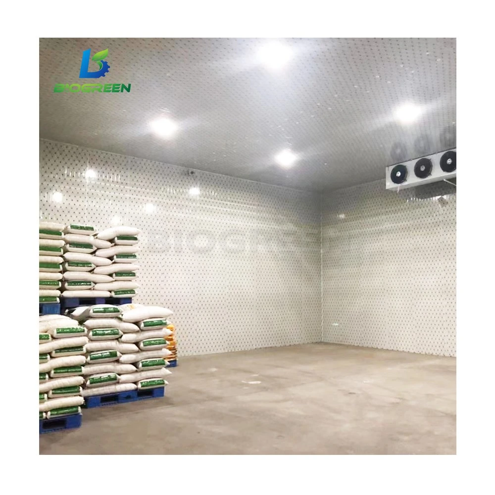 Oversea Project Installation Construction Fresh Fruits Cold Stores Storage Cold