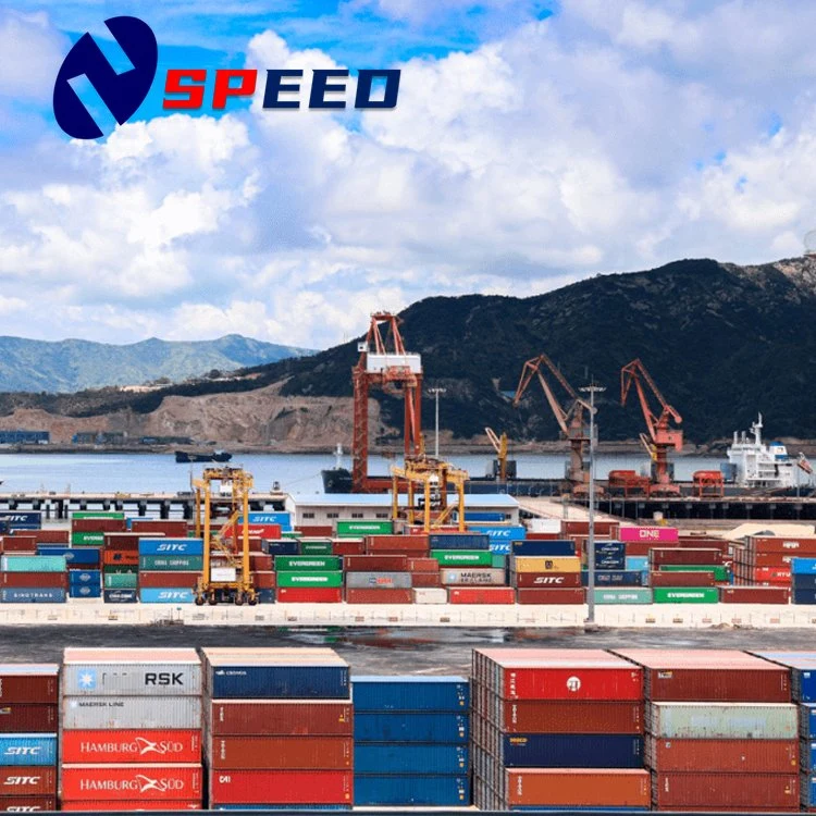 Faster sea Freight Shipping Forwender Company de China a Uxembourg, Dinamarca, Irlanda DDP a servicio de la puerta