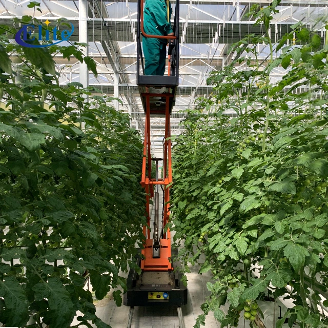 Greenhouse Electric Lifting Piperail Hydraulic Trolley