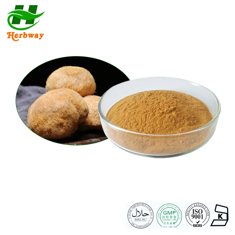 Herbway Kosher Halal Fssc HACCP Certified Improving Immunity Lions Mane Mushroom Extract