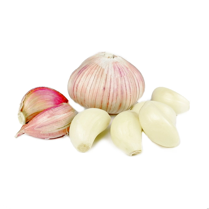 Wholesale/Supplier Fresh Garlic White Garlic with Per Ton Price