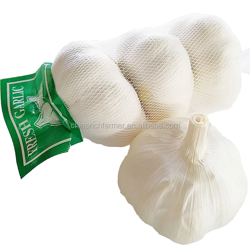 Les prix de l'ail frais Snow White Blanc pur de l'ail 5.0cm/5.5cm petites dans les filets d'emballage en carton