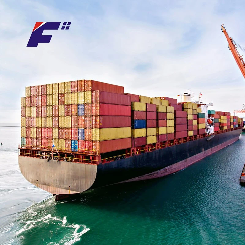 International Logistics From China to Australia/Singapore Sea Freight