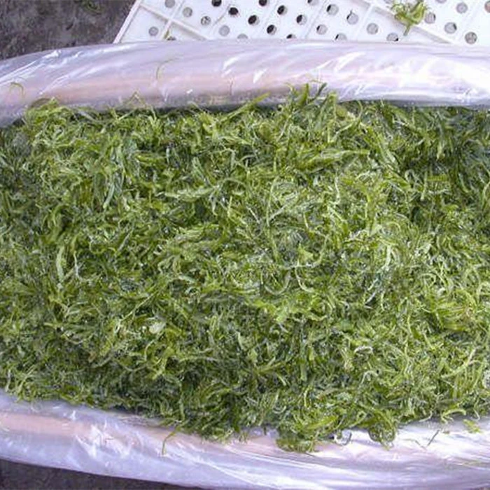 Alta calidad de algas wakame sazonado ensalada congelada