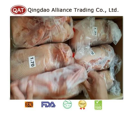 Halal Frozen Duck Meat - Hot Selling