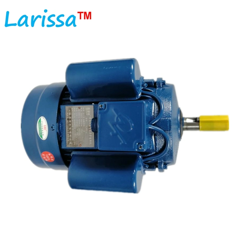 Yc/Yl Single Phase Induction Motor