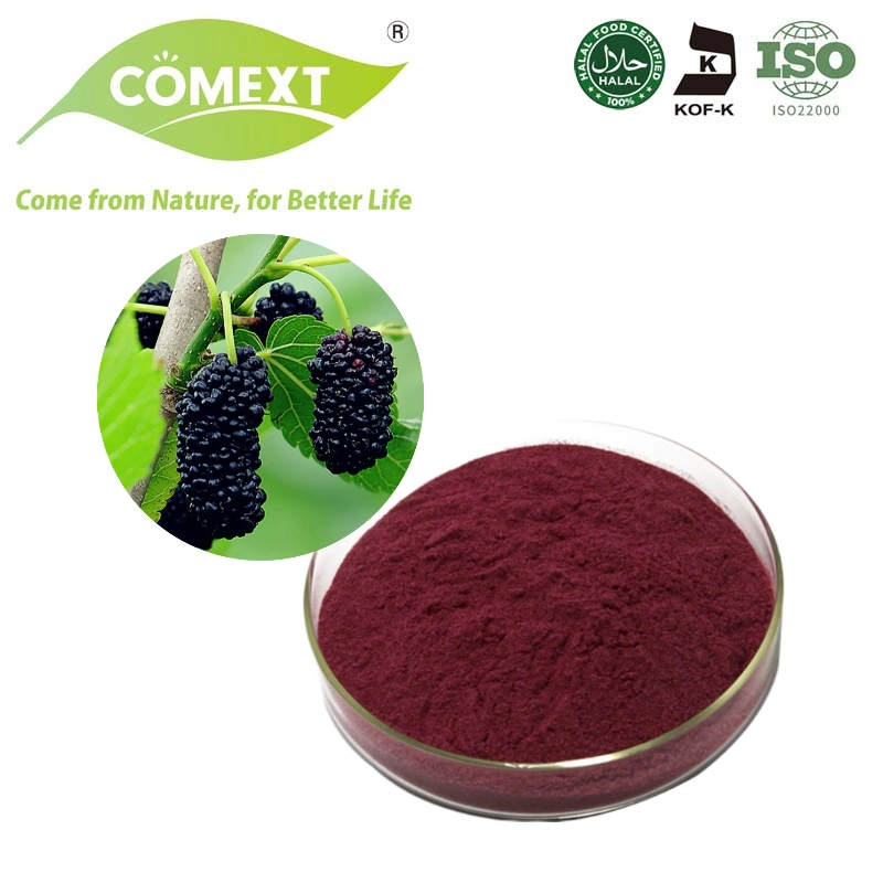 Comext Us Stock High quality/High cost performance Natural Mulberry Juice Powder Mulberry Fruit Powder