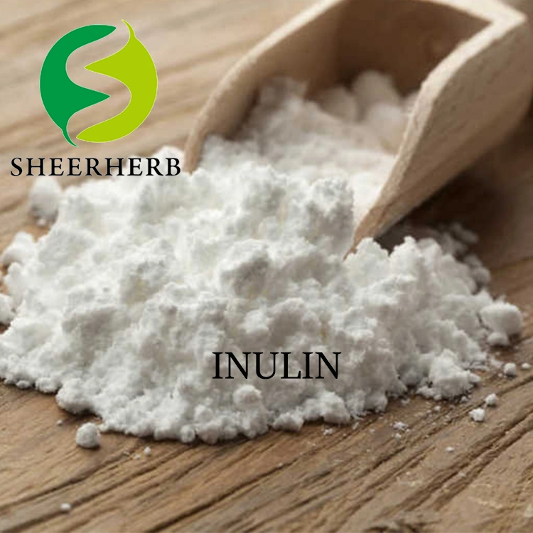 Hot Sale Inulin Chicory Root Extract Inulin Syrup Organic Inulin Prebiotic Inulin 9005-80-5 Inulin