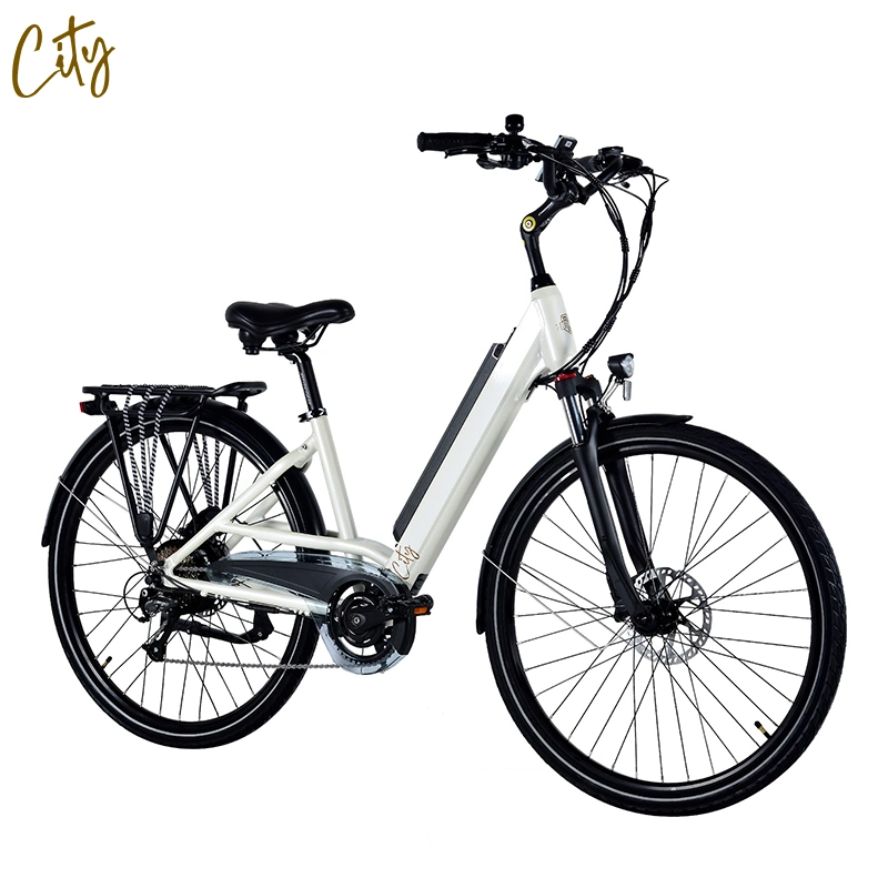 Rot China Fabrik Großhandel/Lieferant eBike 250W Elektro-Fahrrad 26" Rad