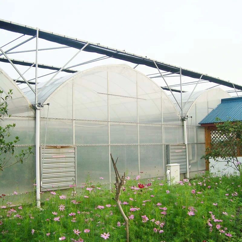 Single-Span Po Film Greenhouse with Cooling System