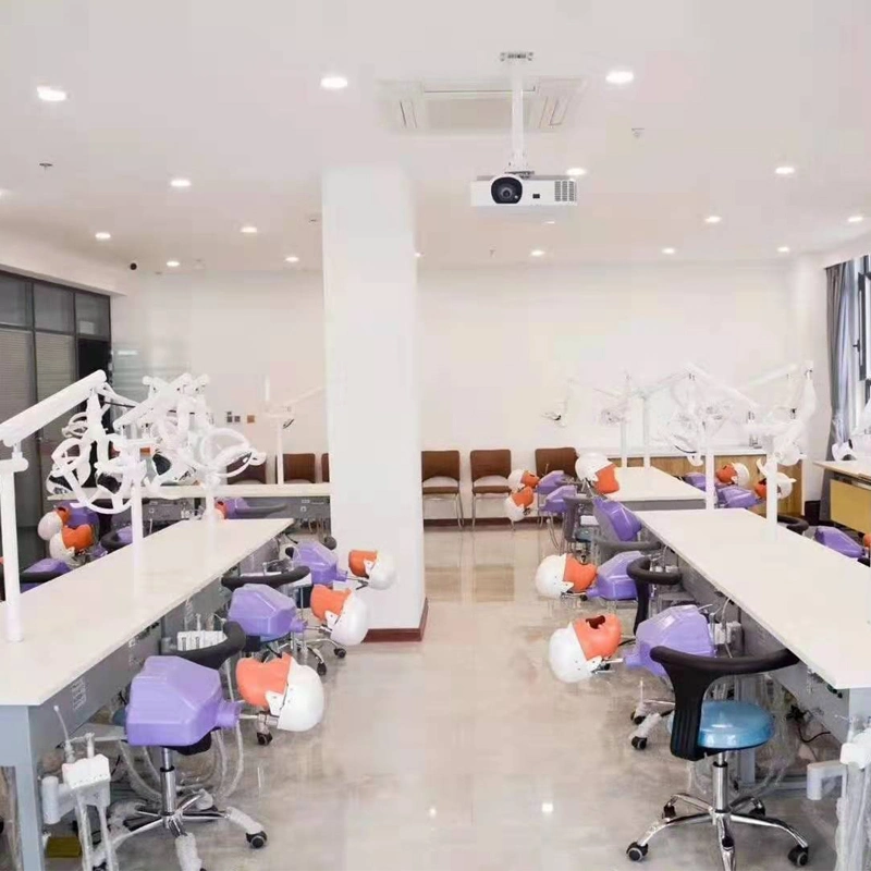 Tratamiento La formación del equipo de laboratorio dental simulador para 2 estudiantes