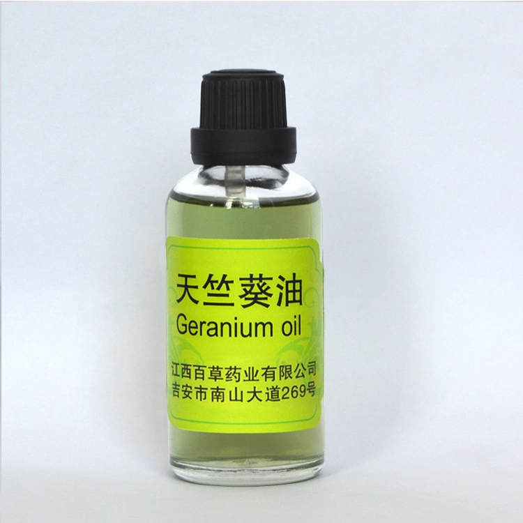 Aroma óleo de gerânio difuso extracto de planta de óleo essencial