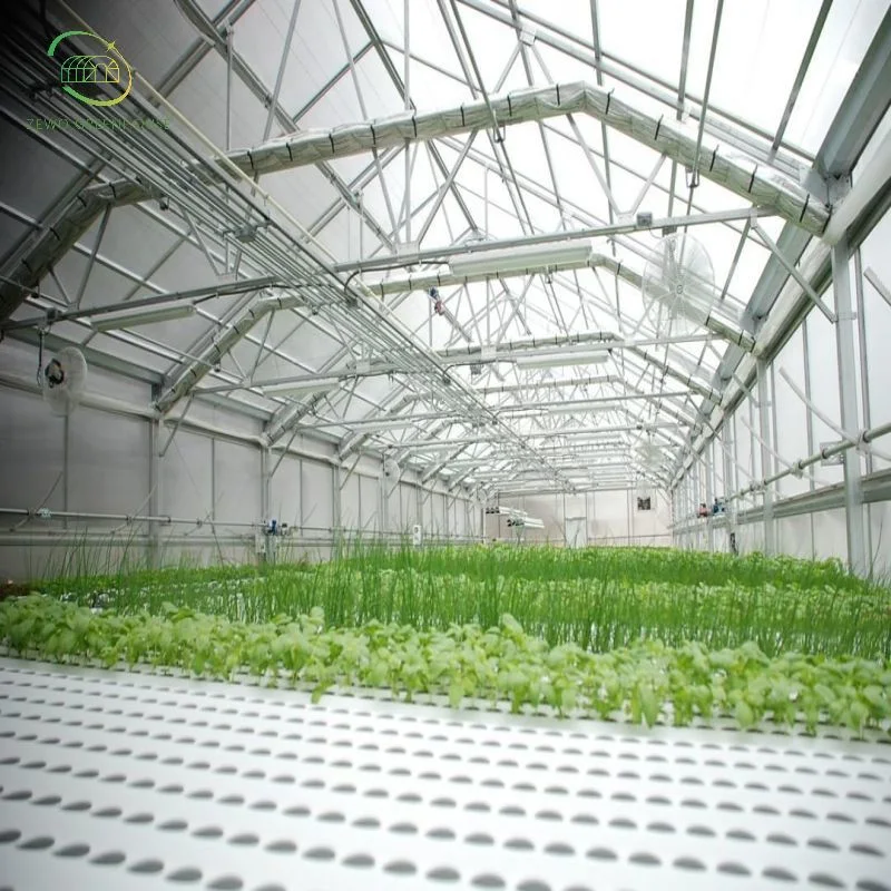 Low Cost Complete Hydroponics Growing System for Soiless Cultivation