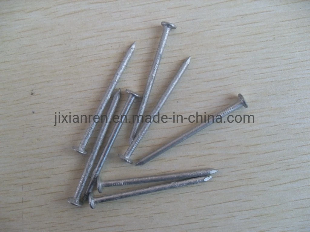 16D (2-1/2") Hot Dipped Galvanized Box Nails