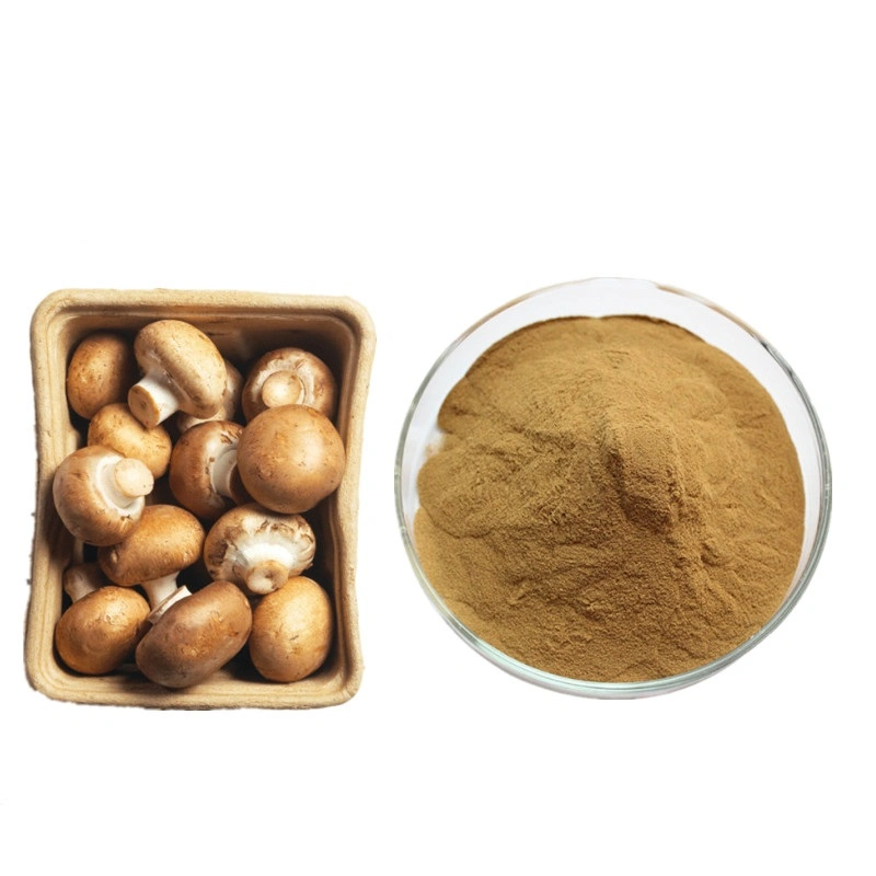 Great Value Food-Grade Halal USDA Certification Shiitake Mushroom Extract Brown-Yellow Fine Powder