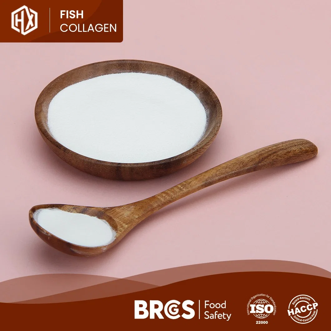 Haoxiang Fish Collagen Powder Fish Scale OEM Custom 500-1000dal/300-500dal Molecular Weight China Pure Collagen Marine Tilapia Scale Collagen Peptide Powder