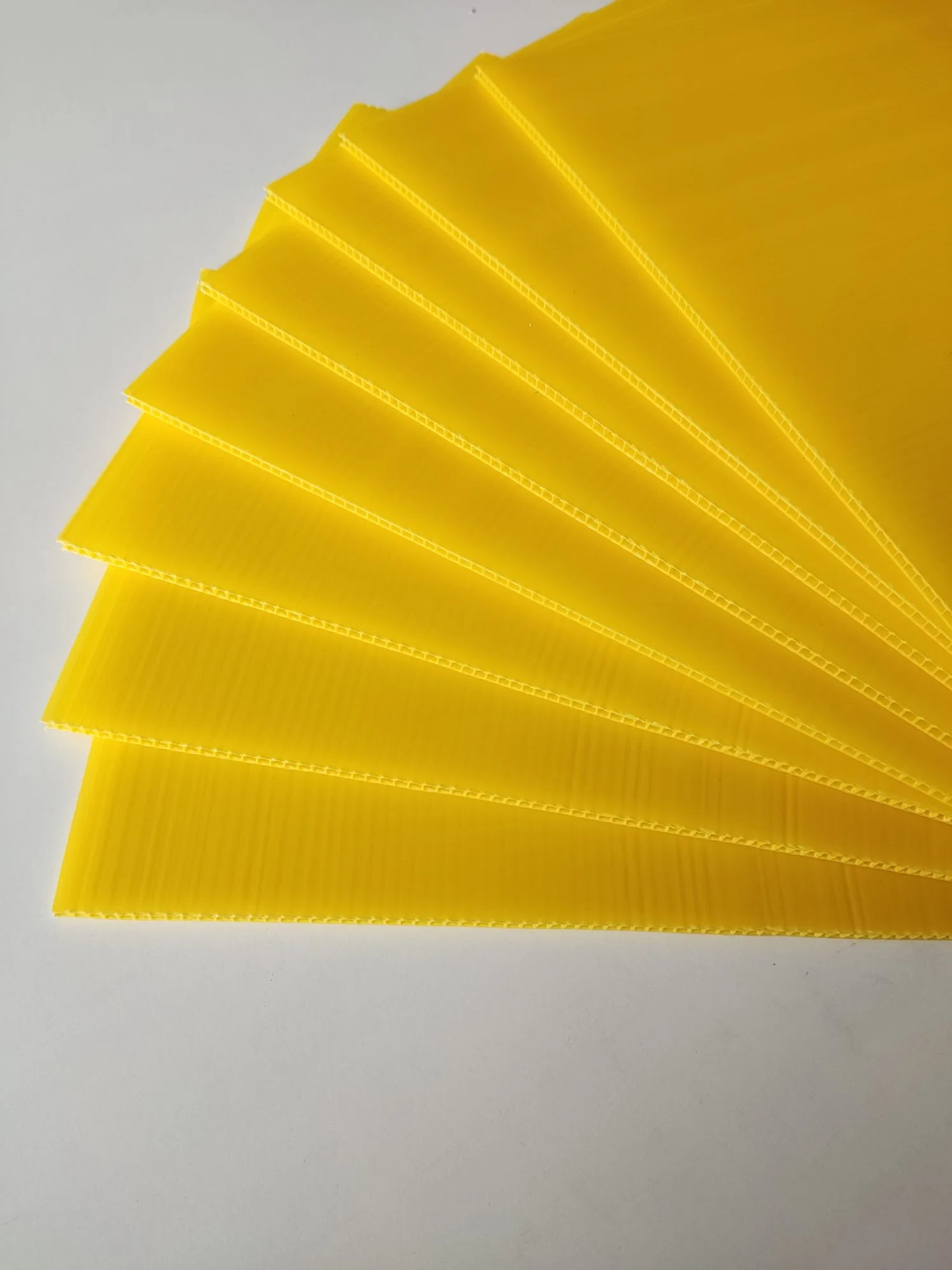 Flexible Oil-Resistant PP Coroplast Plastic Hollow Panel with Quality Guarantee