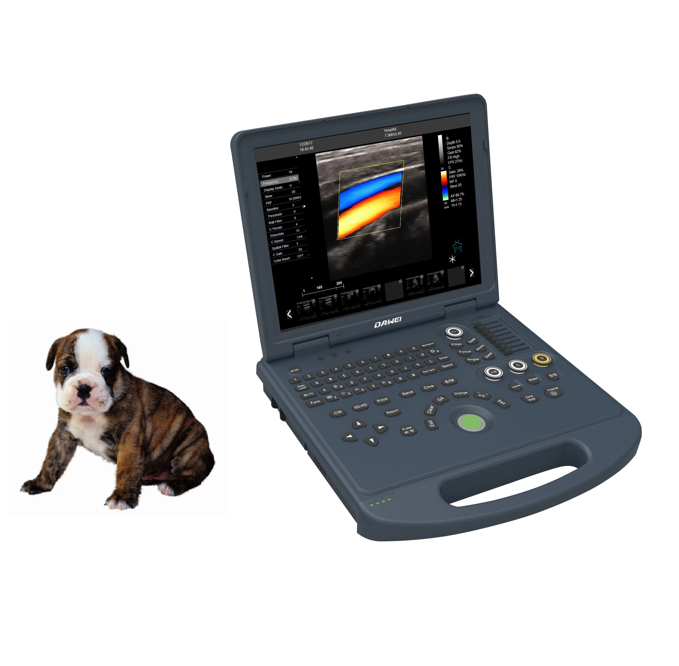 Am-Vet8 Basic Laptop Veterinary Color Doppler Ultrasound Scanner