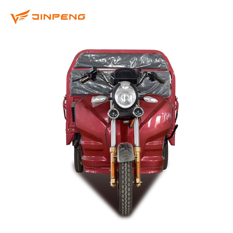 Electric Trike Adult 3 Wheeler for Cargo Support Customization Jinpeng