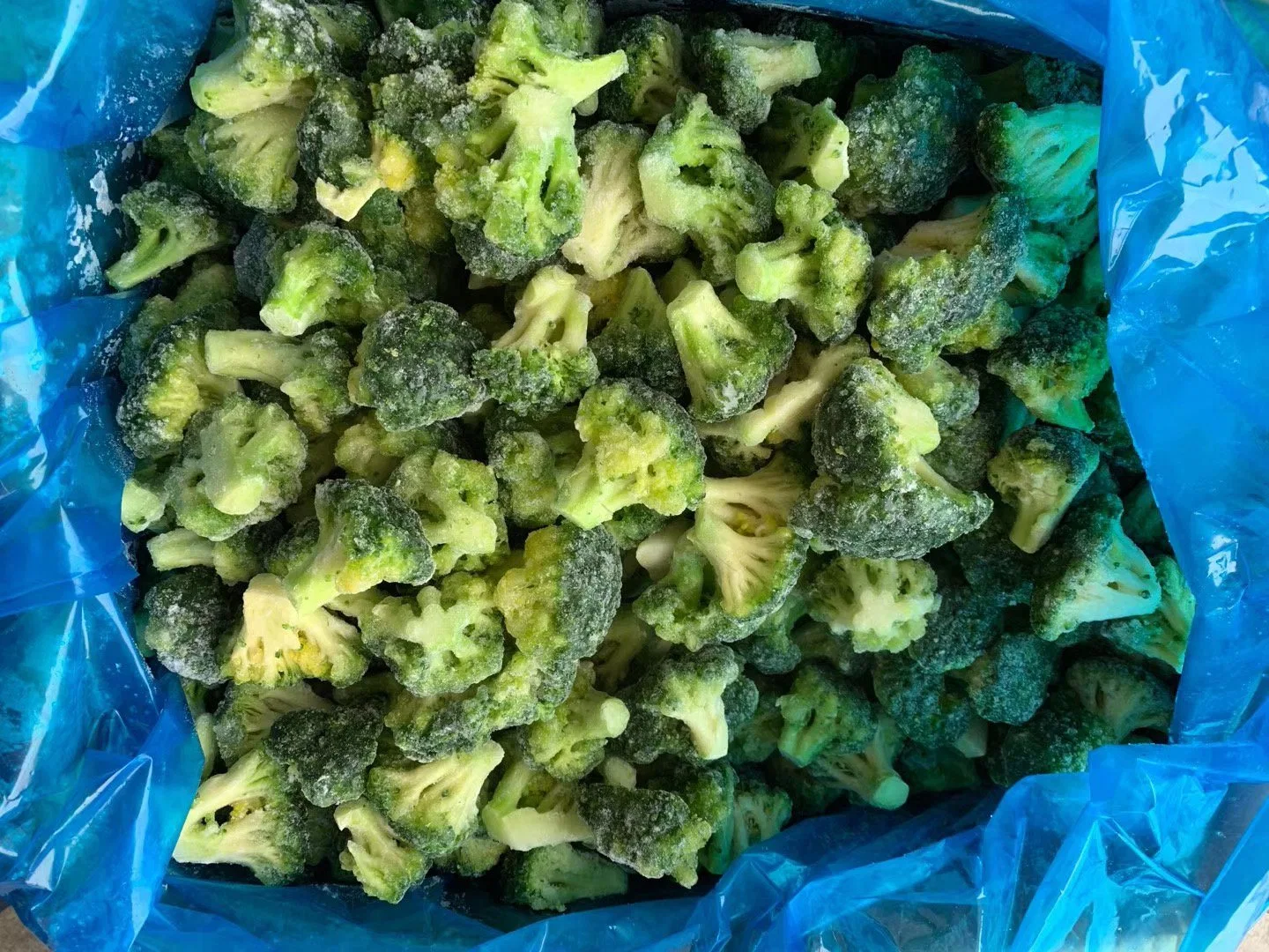 Excllclcroclcad الجودة الخضار الطازجة مجمدة Broccoli IQF Food