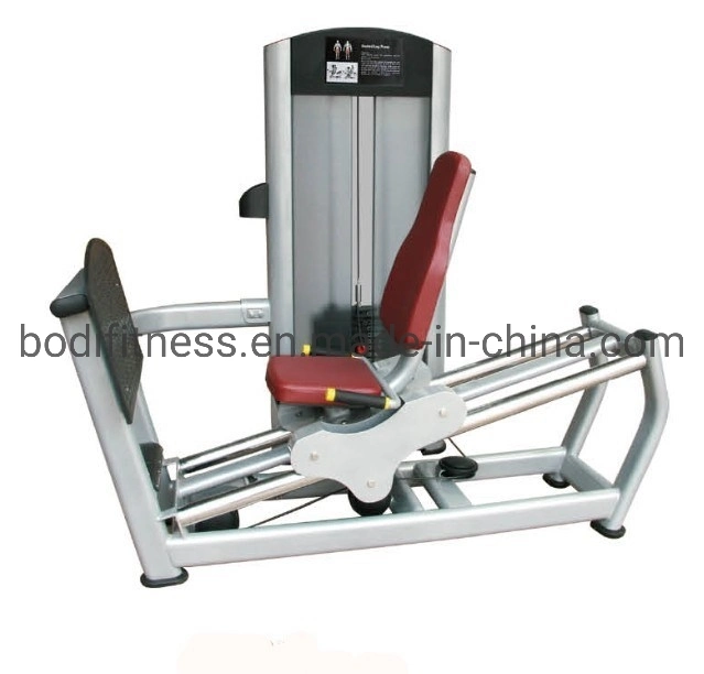 Sport Shandong Fitness Equipment Multi Gym/Heavy Duty Gym Equipment Seated Leg Press