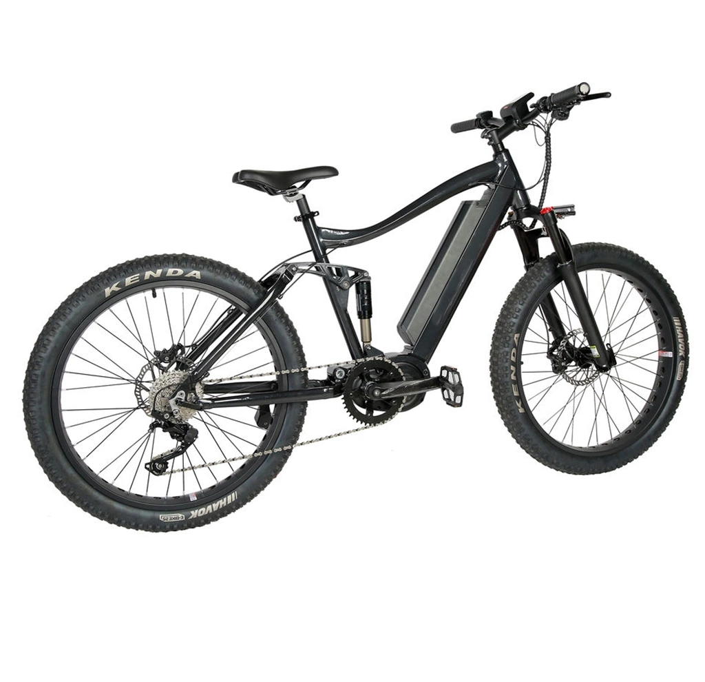 Shimano 7 Speeds Sports Electric Bicycle PRO Fat Bike 750W Motor Offroad Electric Bike Full Suspension E Bicycle for Adults