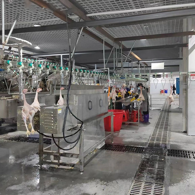 Automatic Poultry Slaughtering House Processing Line Equipment