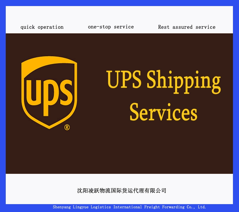 TNT DHL FedEx UPS Express Agente de expedição da China para EUA Reino Unido Canadá