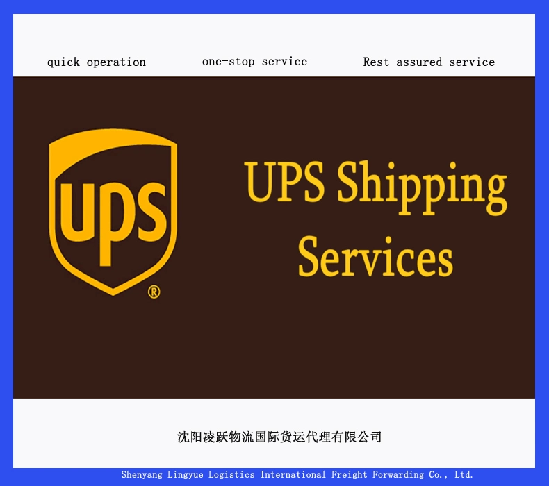 TNT DHL FedEx UPS Express Shipping Agent From China to USA UK Canada