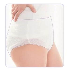 OEM Super Soft Cotton Lady Sanitary Napkin Menstrual Pants Period Panties