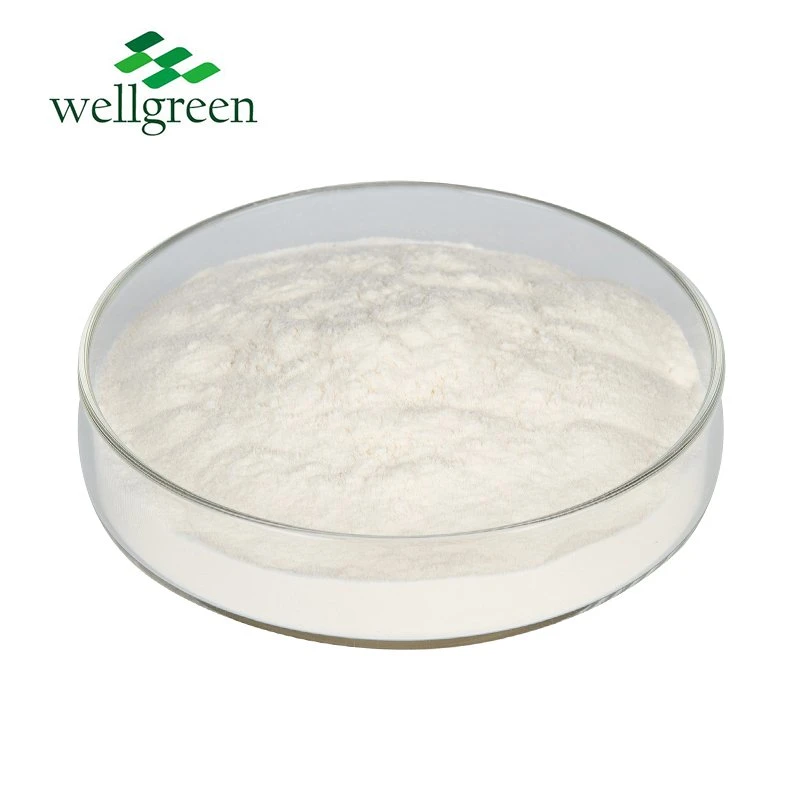 تصنيع بالجملة Well Manufactory Collagen Powder Collagen من النوع الثاني