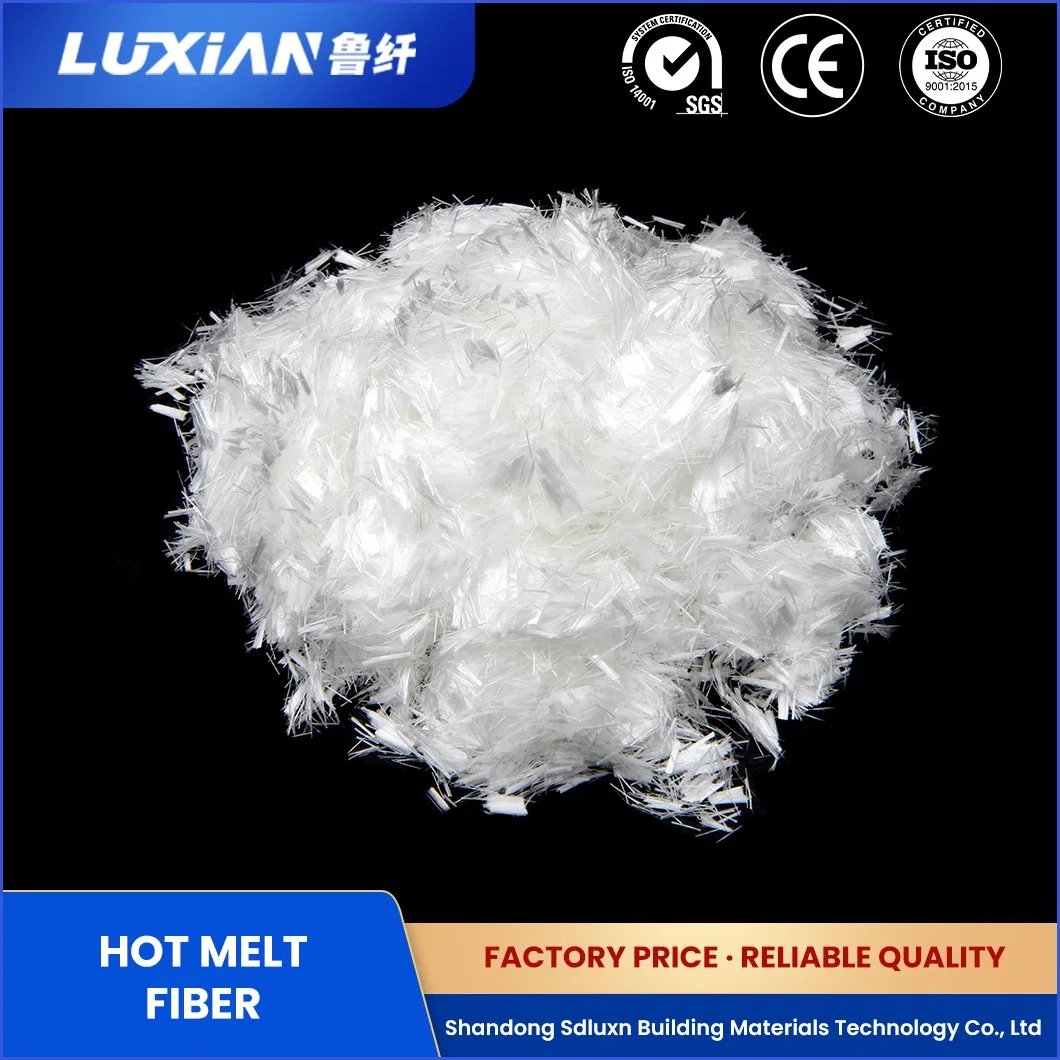 Sdluxn Polyester Microshort Fiber Synthetic Resin Lx Dr-100 12mm Polypropylene PP Fiber China Anti-Explosion Polypropylene Fiber for Construction Manufacturers