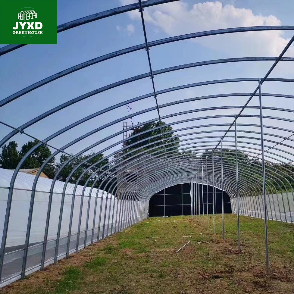 Agricultura moderna Multi-Span tubo oval personalizado Greenhouse con sistema hidropónico Sistema de calentamiento de Verduras Frutas Flores Lechuga Pimienta