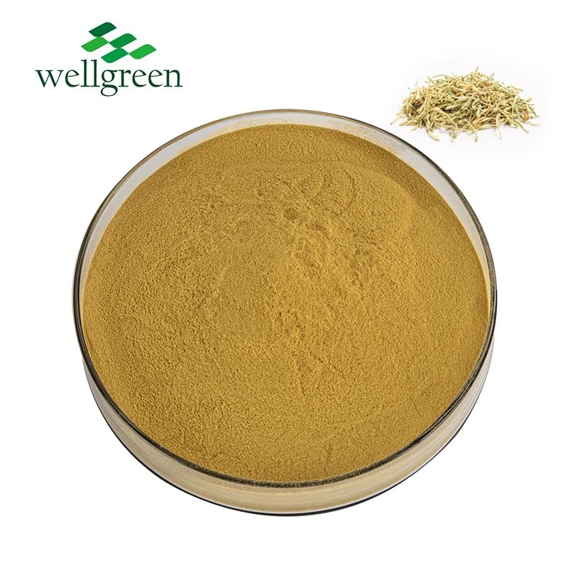 Wellgreen Natural 98% CAS 491-70-3 Sophora Japonica Extract Water Soluble Luteolin Powder