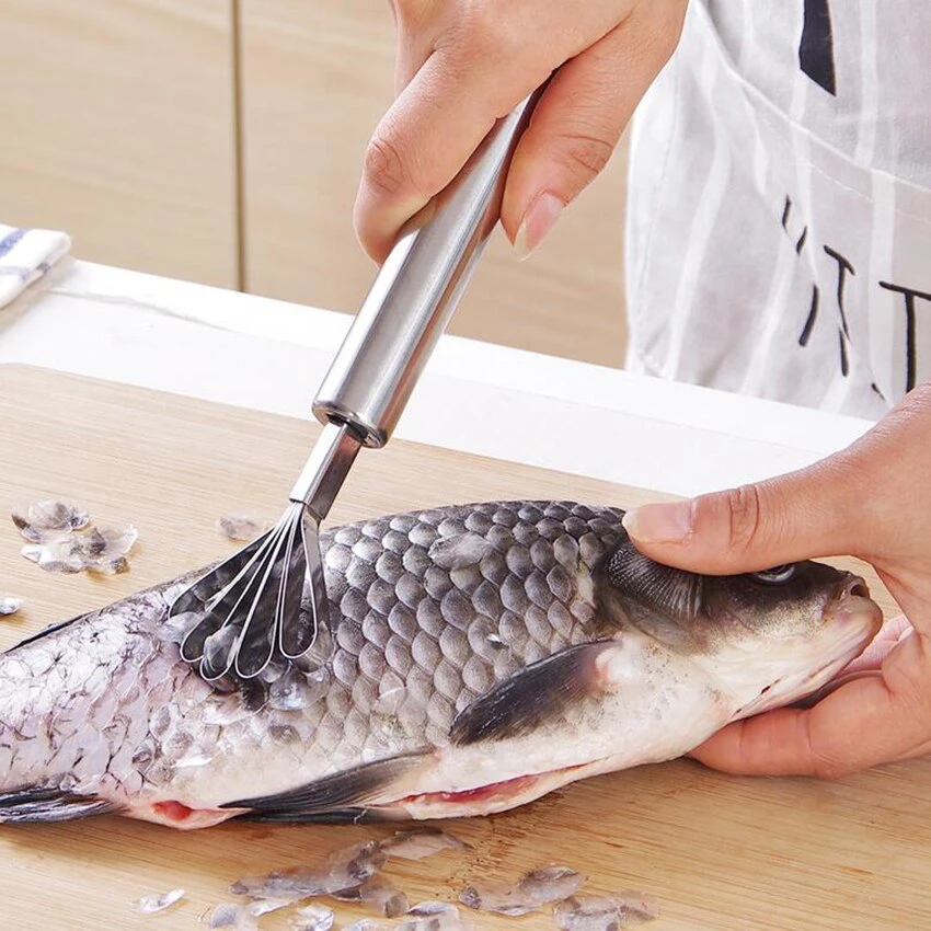 Couteau d'enlèvement de viande de noix de coco en acier inoxydable, trancheuse à viande de noix de coco racloir de noix de coco Planeur pour gadget de cuisine Esg12102