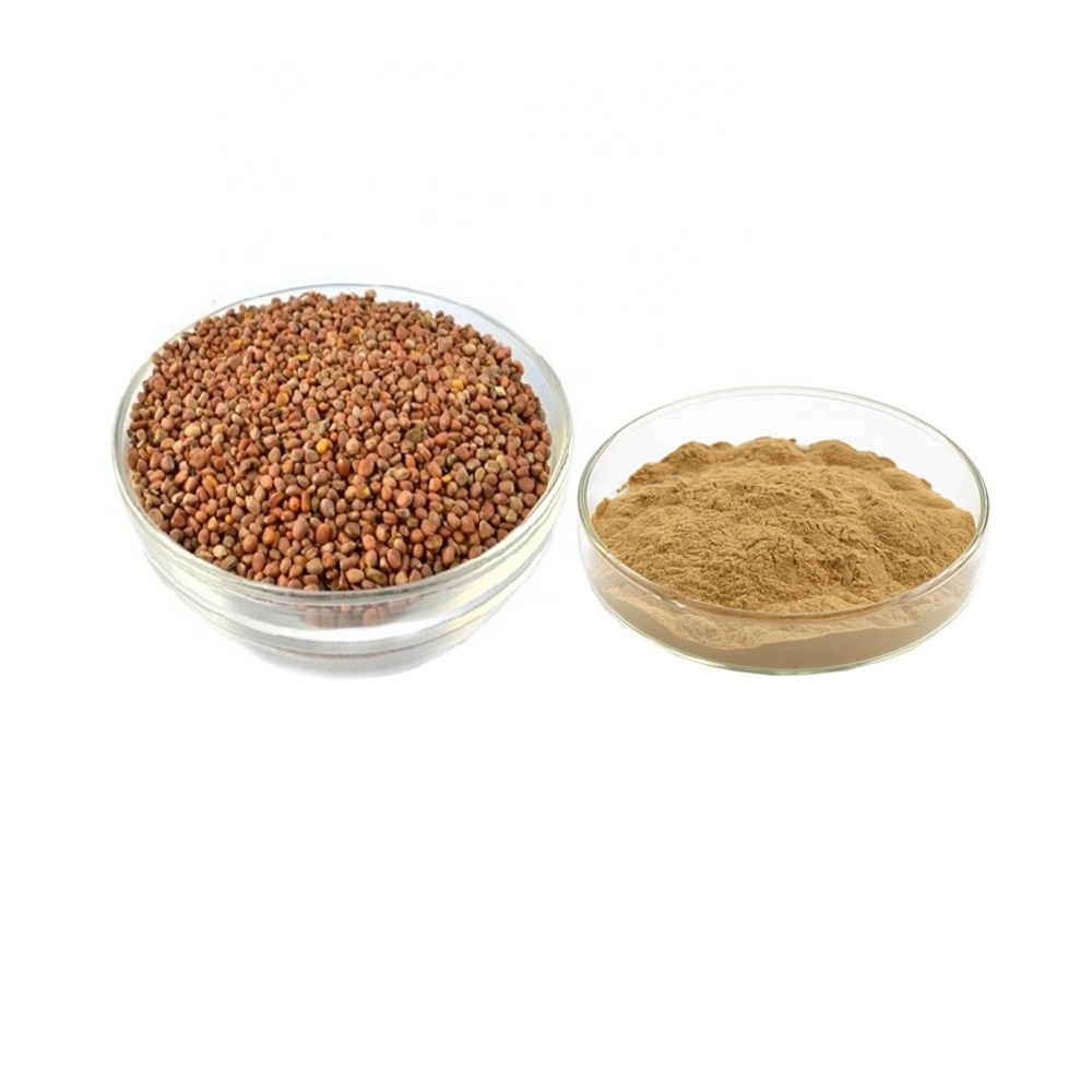 Top Quality Radish Seeds Powder, Radish Seeds P. E.